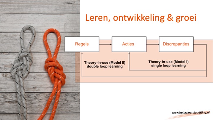 Single and double loop learning